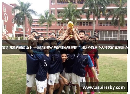 激情四溢的绿茵场上 一场精彩绝伦的足球比赛展现了团队协作与个人技艺的完美融合