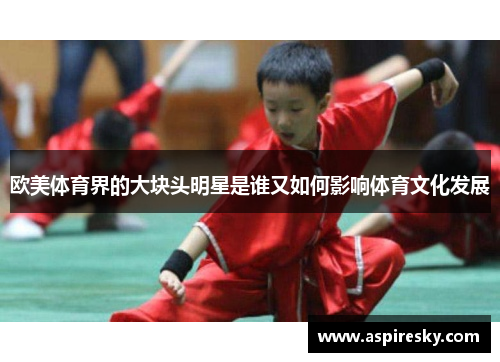 欧美体育界的大块头明星是谁又如何影响体育文化发展